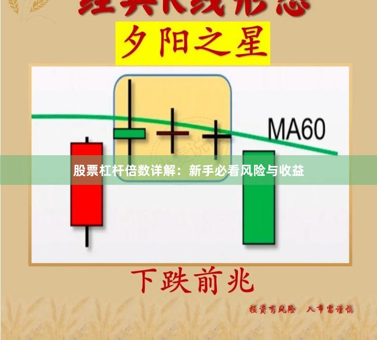 股票杠杆倍数详解：新手必看风险与收益