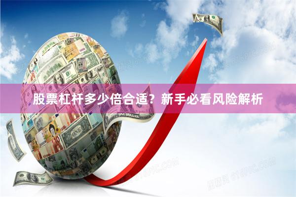 股票杠杆多少倍合适？新手必看风险解析